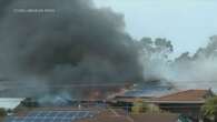 Firefighters save cats as blaze tears through elderly couple's home