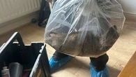 Massive rat believed to be the biggest ever caught in the UK