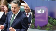 'Unnecessary anxiety': Inside $2bn move to divert children with autism off NDIS