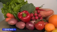 Weight loss benefits go well beyond number on a scale, CSIRO finds