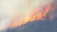 Moreton Island bushfire downgraded after firefighters battle blaze through weekend