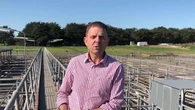 State MP accused of assaulting wife intends to seek re-election