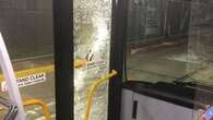 Sydney bus driver injured after rock thrown through window