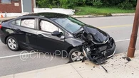 Cicada causes car crash after flying into drivers face