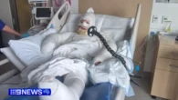 'Like being fried': WA mum suffers serious burns in firebombing
