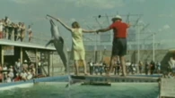 A look back at the Gold Coast's early attractions