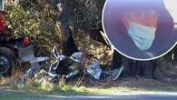 Driver pleads guilty over crash near Victoria-NSW border that killed five