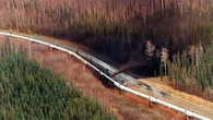 'Idiot with a gun' causes environmental catastrophe