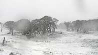 Blanket of white covers alpines in NSW and Victoria