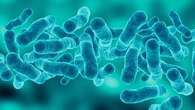 Health alert after sudden Legionnaires' disease outbreak in Melbourne