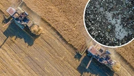 Hidden menace turning farmland into 'plastic sink'