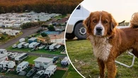 Kim was banned from bringing her dog to the caravan she owned for years