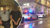 Teens arrested after car allegedly stolen from Victoria is dumped in Sydney