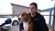 Walker opens up about moment his dog found alleged murder victim's head
