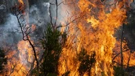 Ink dries on new deal to better fight bushfires in NSW