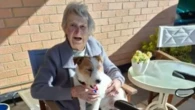 Great-grandmother forced to endure horror hospital ordeal