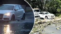 Queensland braces for wild weather as 'bomb cyclone' blows across border