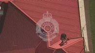 Polair shows man allegedly scaling roof to evade arrest after chase in stolen car