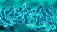 Woman dies from Legionnaires' disease amid outbreak in Melbourne