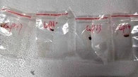 Chinese pair accused of smuggling 'dangerous biological pathogen' into US