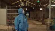 Family business forced to rebuild after absestos wipes out warehouse