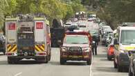 Man arrested after allegedly threatening people with machete in Sydney