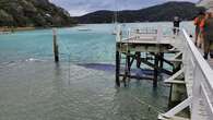 NZ rescuers dismantle wharf to save trapped pygmy blue whale