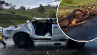 Driver in serious condition after large tree crushes ute during severe winds