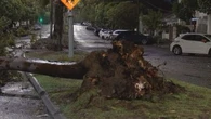 Two states lashed by intense winds
