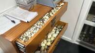 Thousands of endangered bird eggs seized