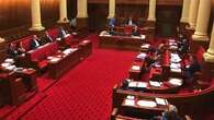 Controversial SA abortion bill defeated despite 'shameful' display