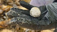 Mysterious debris balls wash up on NSW beaches again
