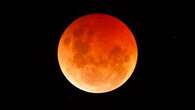 Rare 'blood moon' will be visible from millions of Australian homes this week