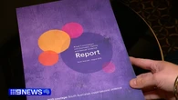 SA premier commits to early changes after DV Royal Commission findings released