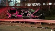 Dog thrown from police car in Melbourne freeway crash