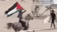 Man with Palestinian flag rides horse on Bondi Beach days after protests