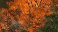 Warning to prepare for warm summer as bushfire season starts