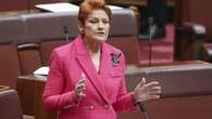 Pauline Hanson appeals court ruling that found she was racist in social media post