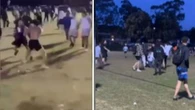 'A lot of kids crying': Families caught up in Sydney OzTag brawl