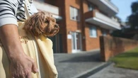 Woman claims she was yelled off a bus because she was carrying her dog in a bag
