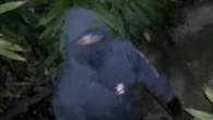 Late mum's war medals, $75k of jewellery stolen as neighbours burgled