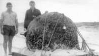 What happened when a live WWII mine washed onto a Gold Coast beach in 1966