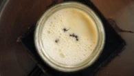 Old tradition of making yoghurt with creepy-crawly help proven true