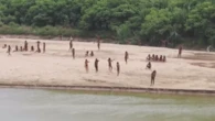 Warning isolated Indigenous groups could vanish within a decade