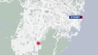 Group armed with machetes, shotgun, attack men in Sydney home
