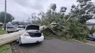 Car flattened under fallen tree, 2000 calls for help after winds smash NSW