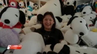 'It's priceless': Woman spends $500,000 on Snoopy toy collection