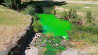 Creek turns bright green, authorities warn to 'avoid contact'