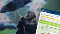 Do you rely on the 'feels like' temperature or the actual one? Here's how it works