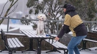 'Stoked': Resorts get first snow dustings ahead of ski season